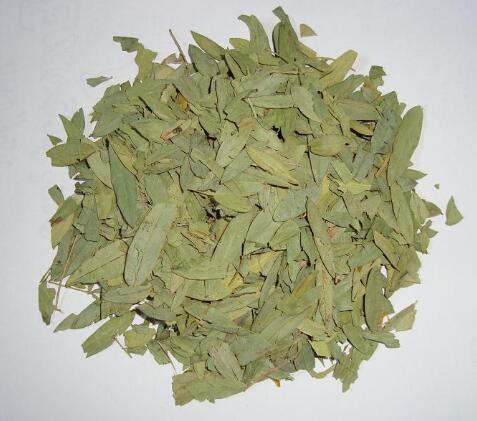 番瀉葉(狹葉番瀉) SENNAE FOLIUM