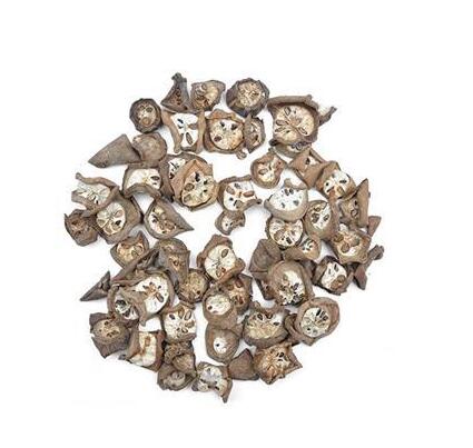 預(yù)知子(三葉木通) Akebiae Fructus