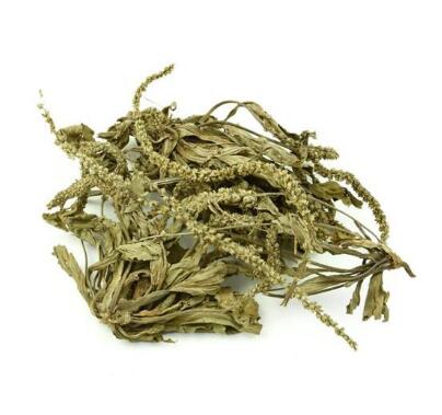 車(chē)前草 Plantago depressa Willd