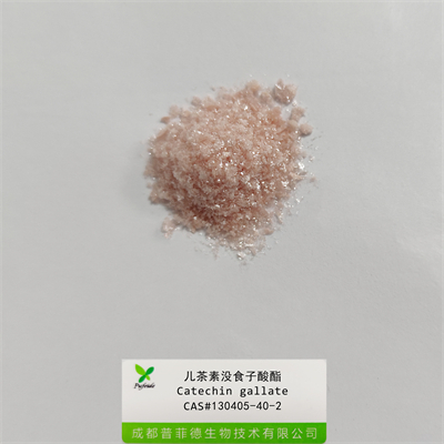 兒茶素沒食子酸酯|130405-40-2