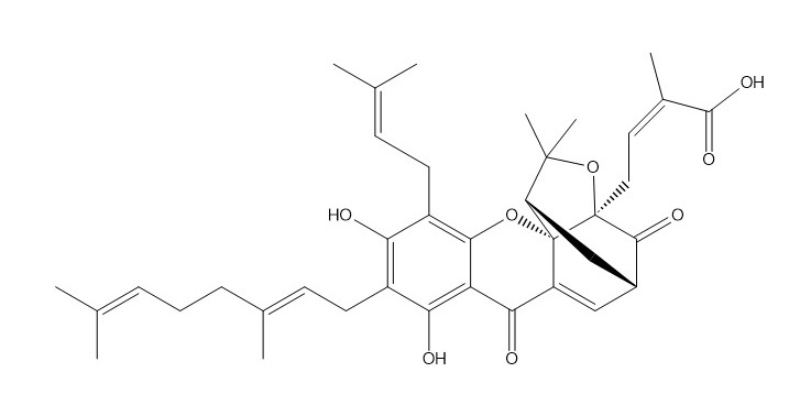 新藤黃酸|173932-75-7